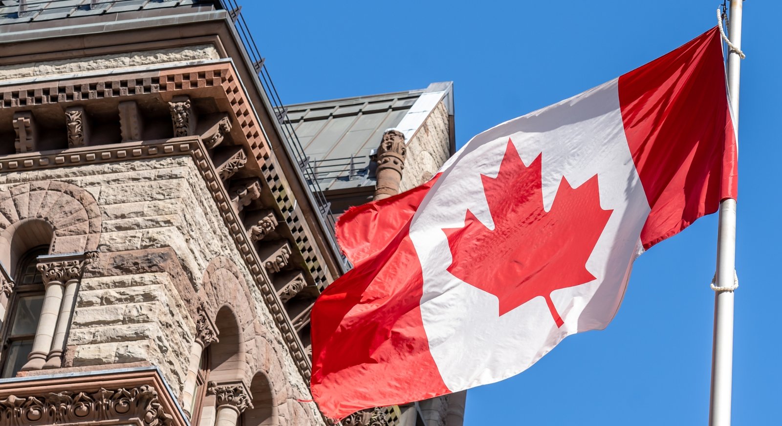 Study Abroad Consulting